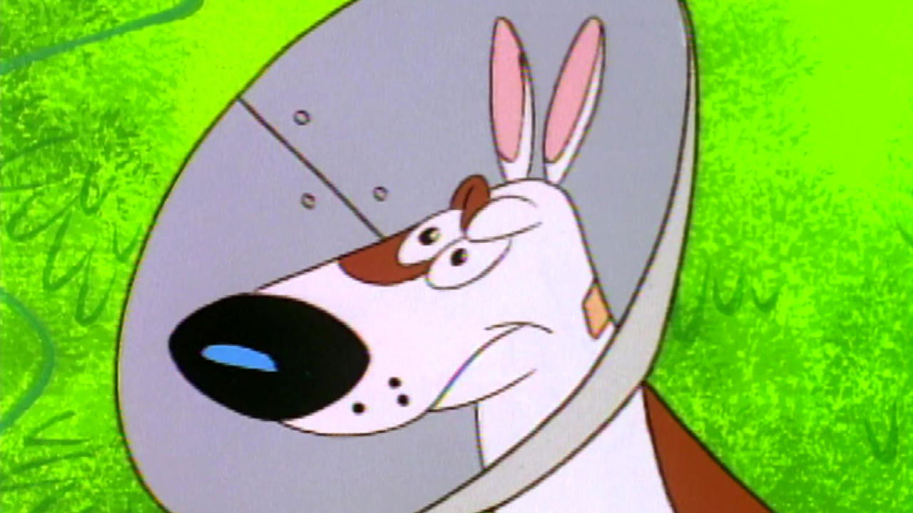 The Mighty Cone-Dog