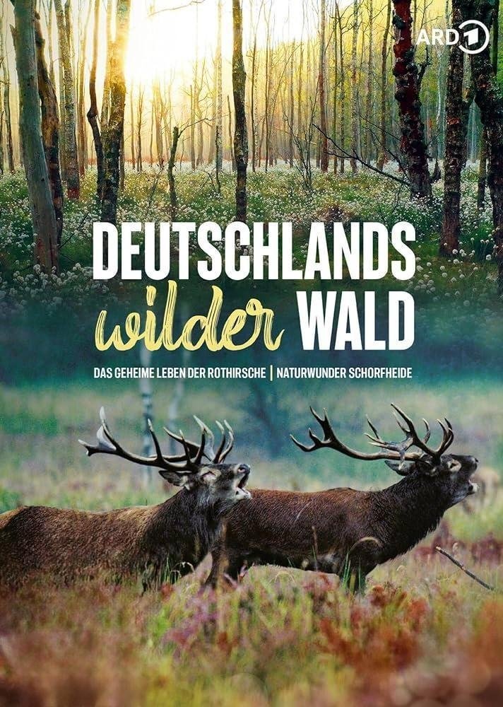 Poster de Das geheime Leben der Rothirsche