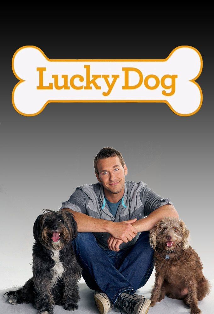 Poster de Lucky Dog
