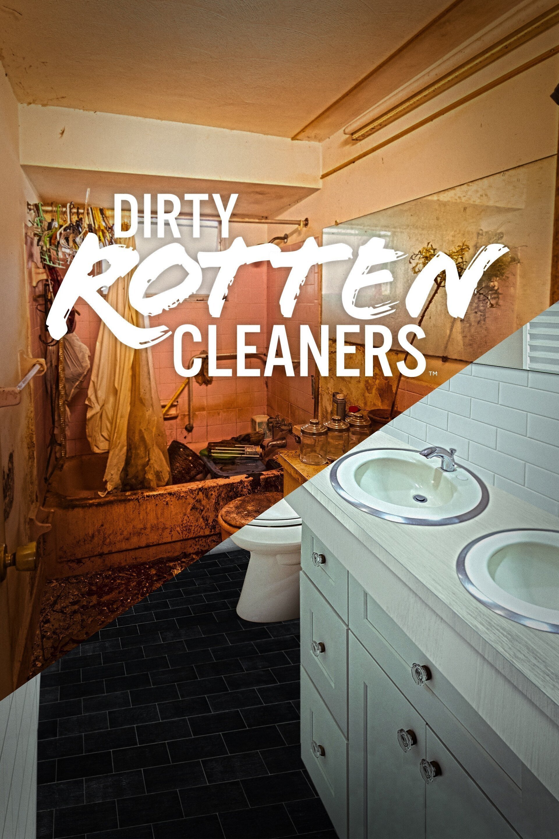 Poster de Dirty Rotten Cleaners