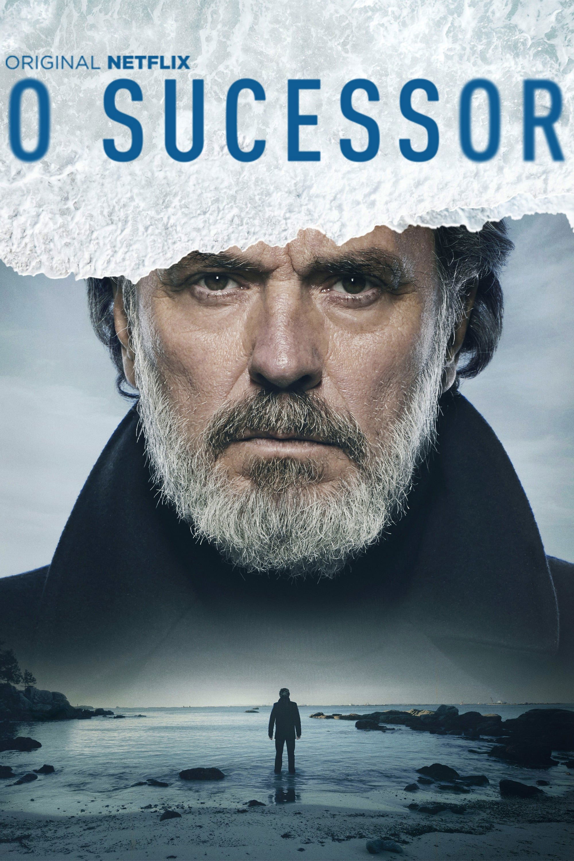 Poster de O Sucessor