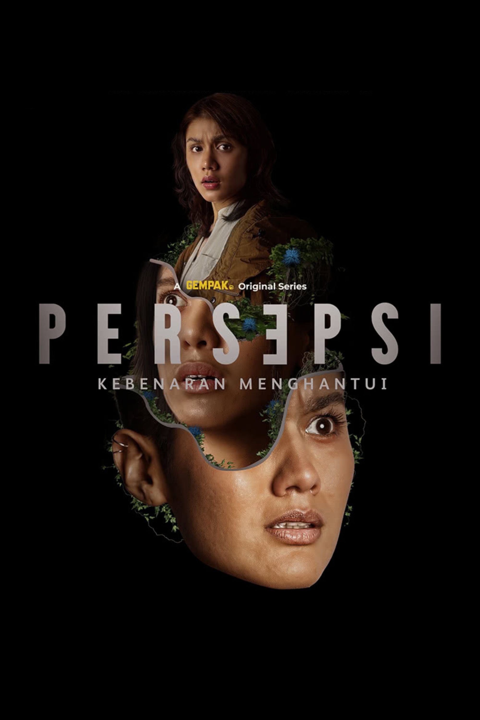 Poster de Persepsi
