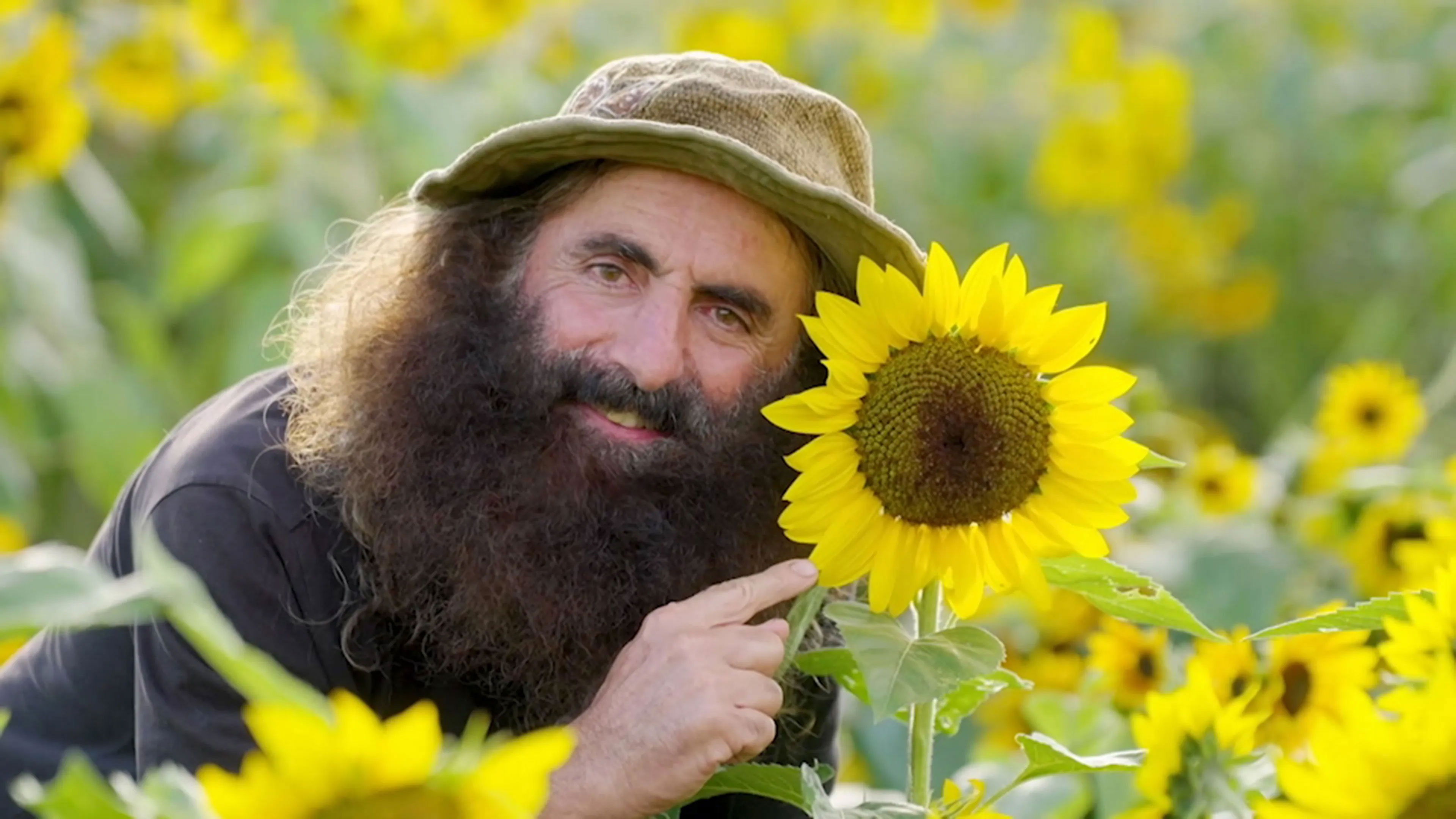 Episode 3 Autumn: Cheery Sunflowers & Wonderful Witlof