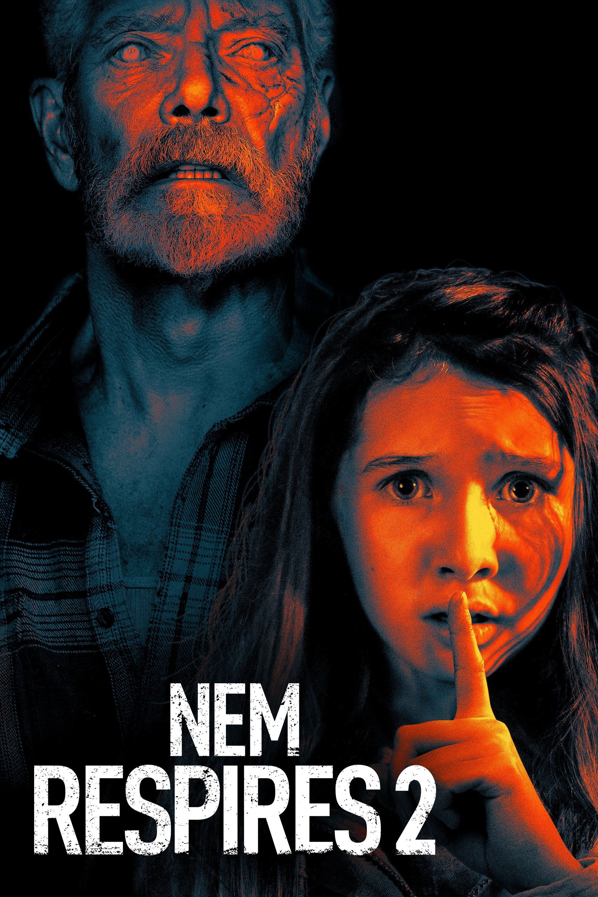 Poster de O Homem nas Trevas 2