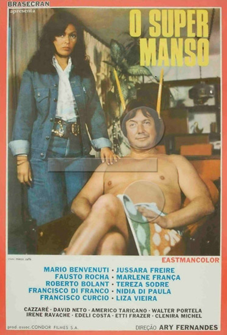 Poster de O Supermanso