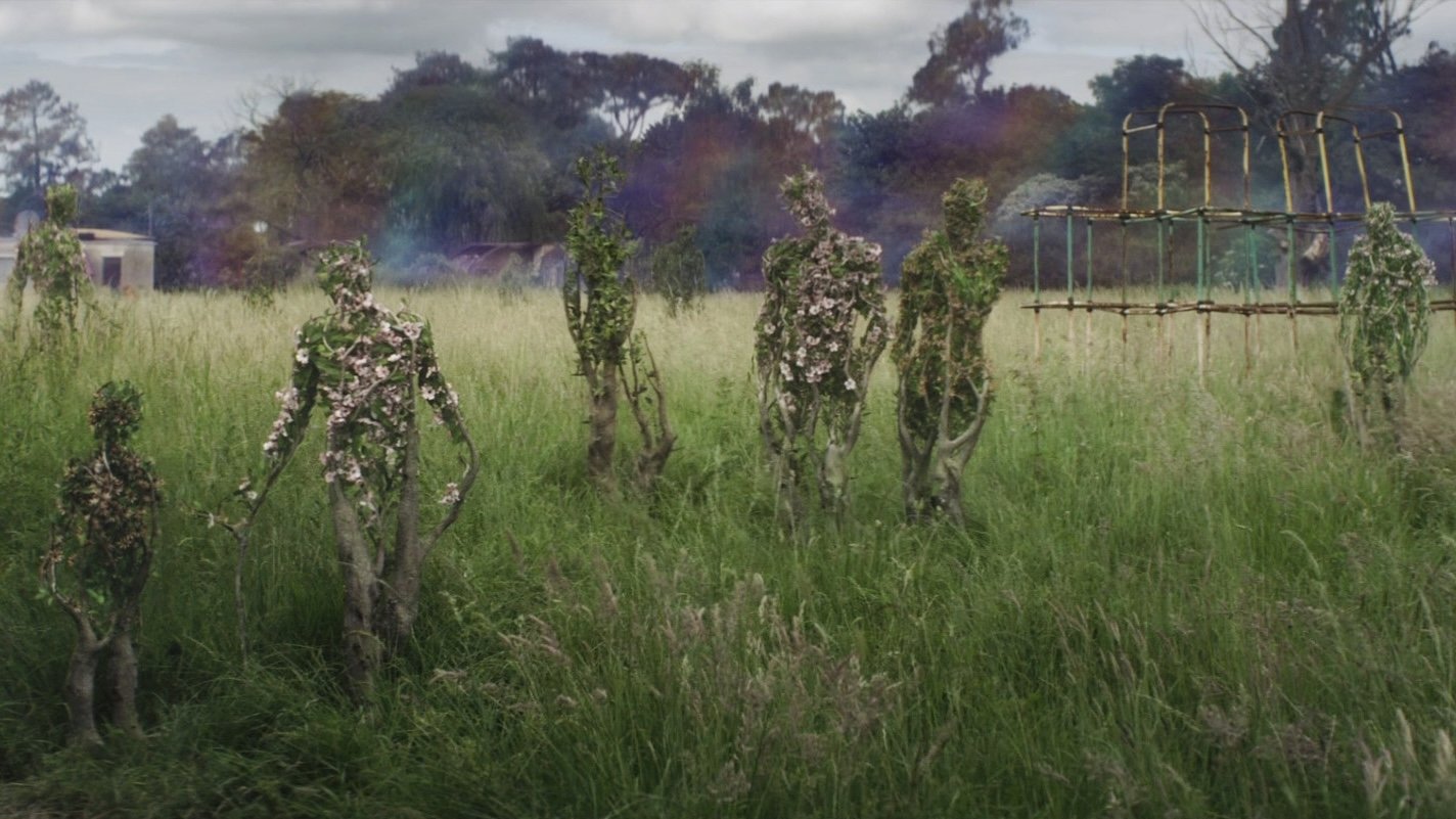backdrops
