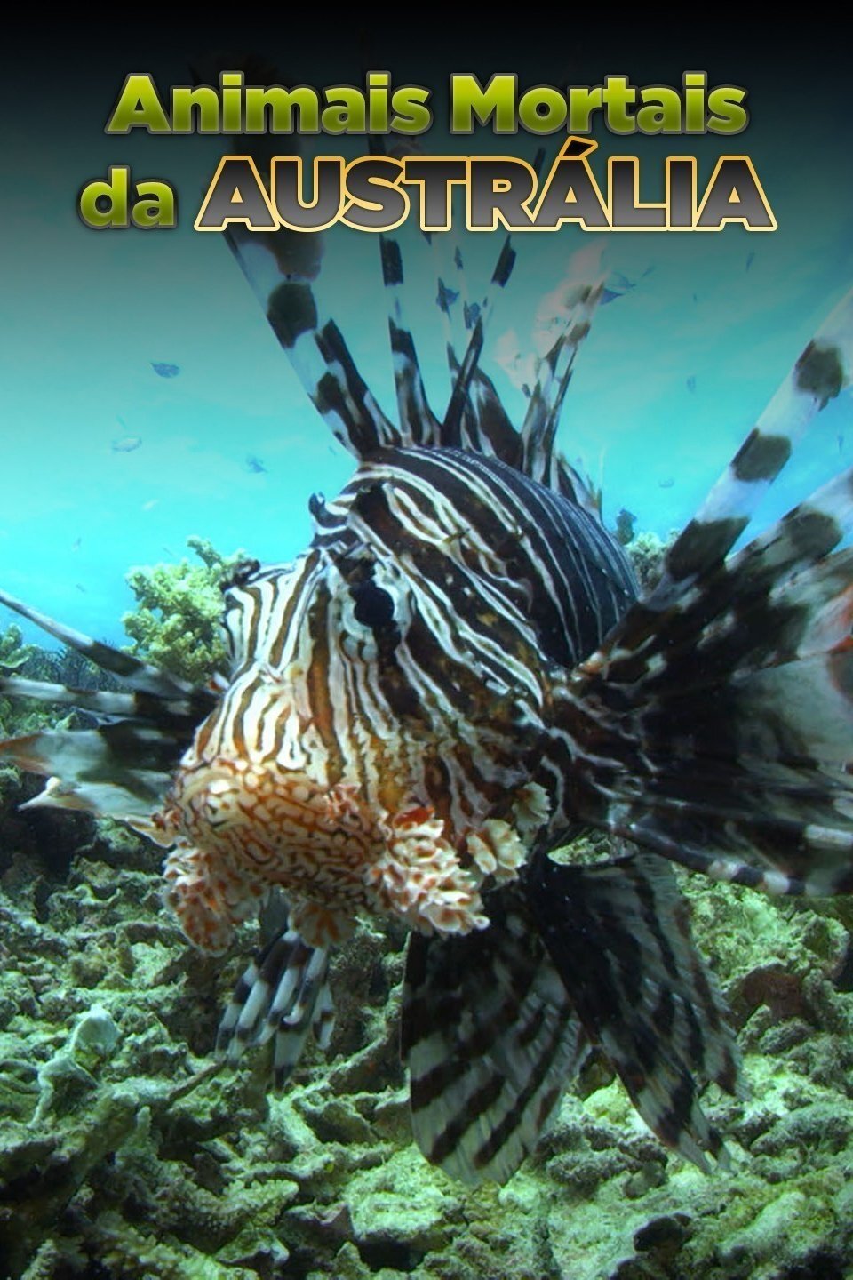 Poster de Animais Mortais da Austrália