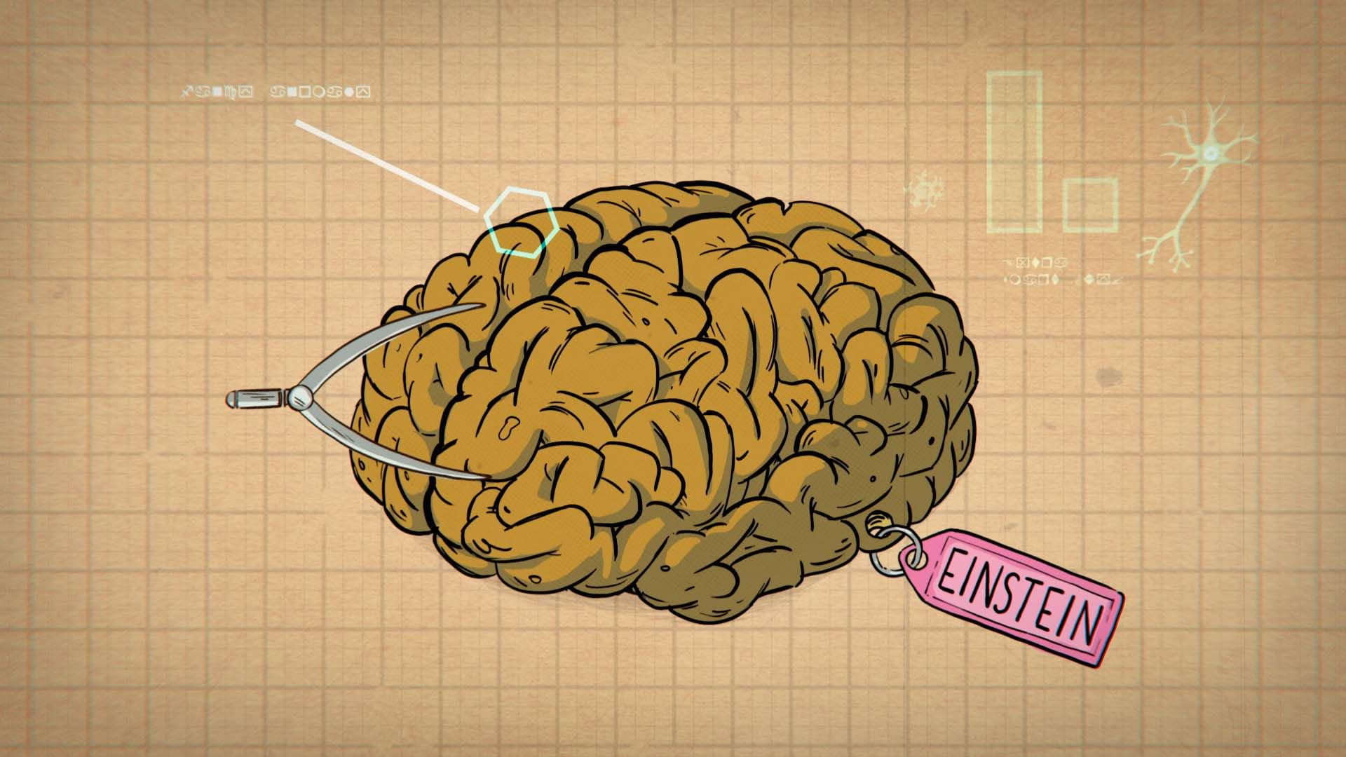 How Do You Become a Genius?