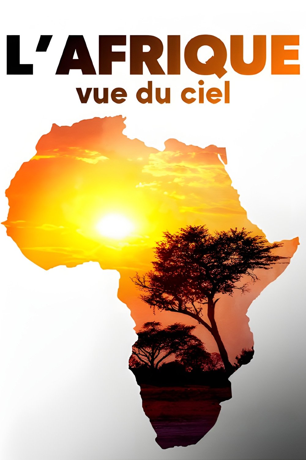 Poster de L'Afrique vue du ciel