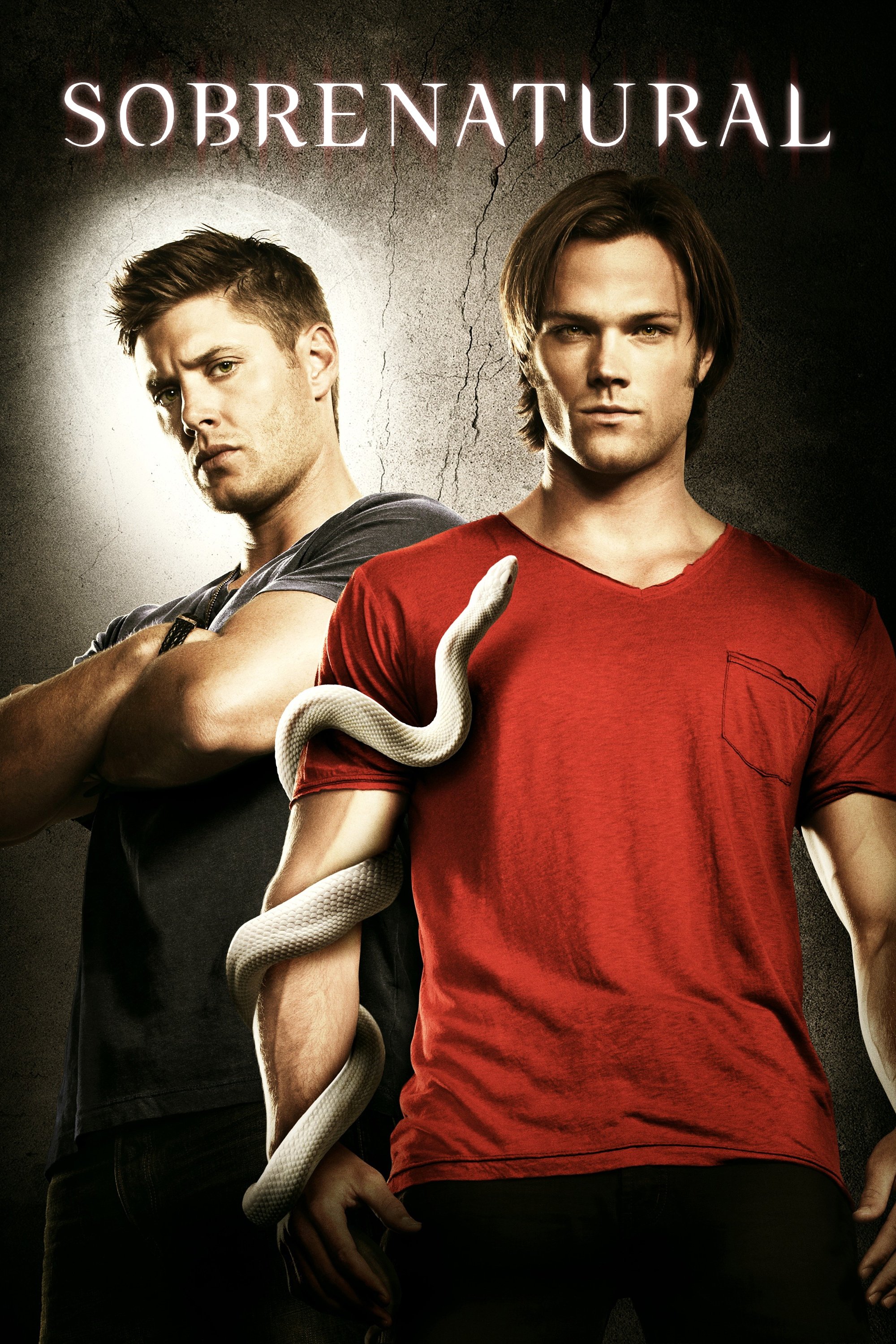 Poster de Temporada 6