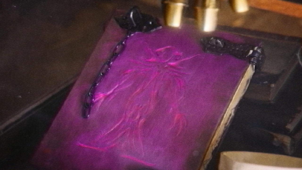 Image 4