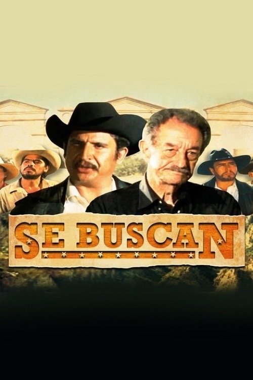 Poster de Se buscan