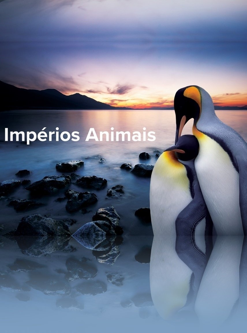Poster de Animal Empires