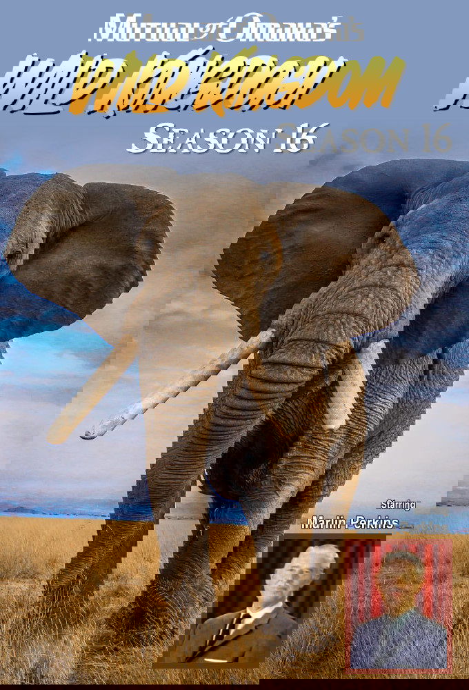 Poster de Temporada 16