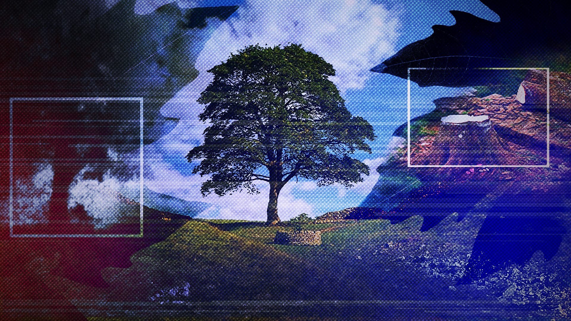 الحلقة 51