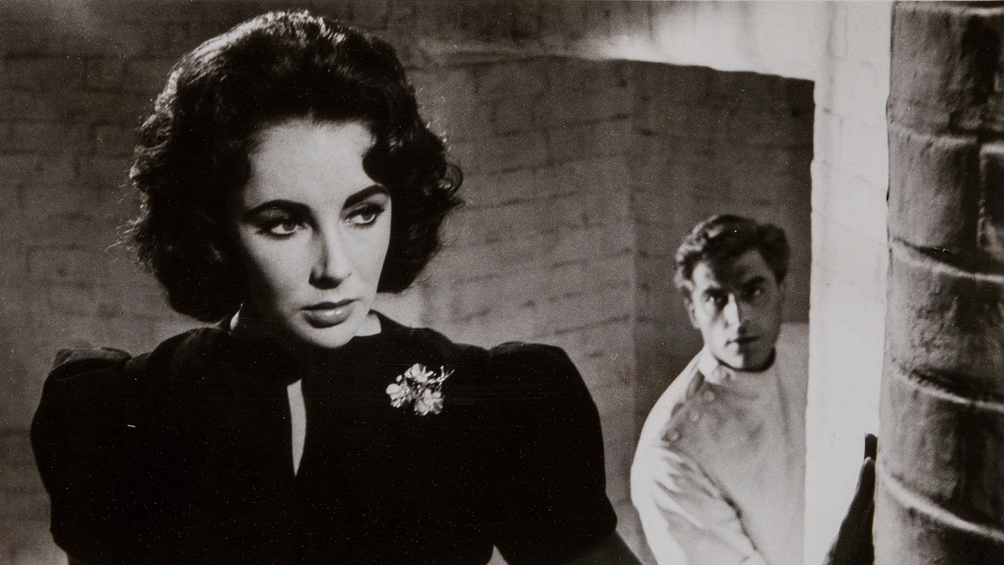 Suddenly, Last Summer