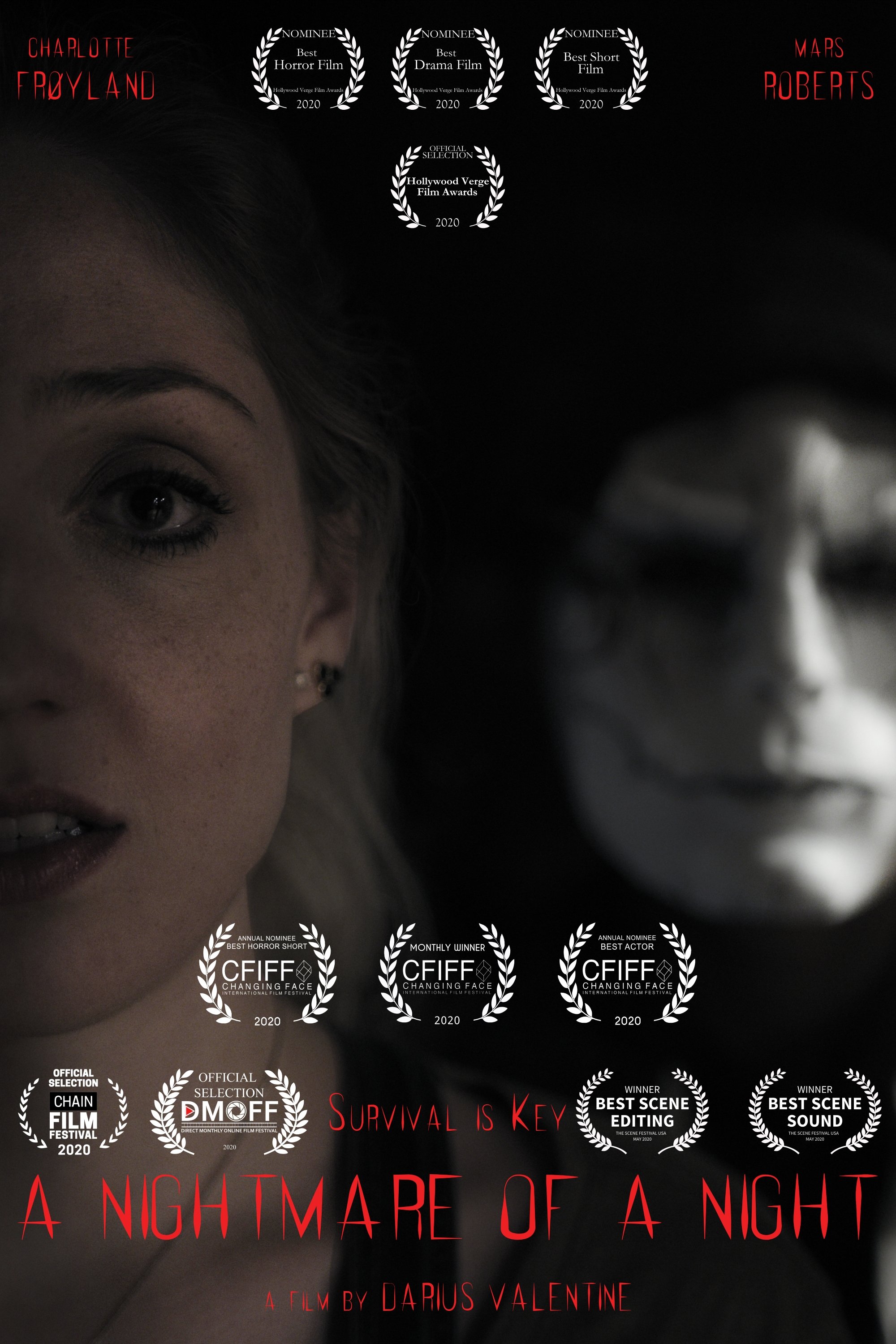 Poster de A Nightmare of a Night