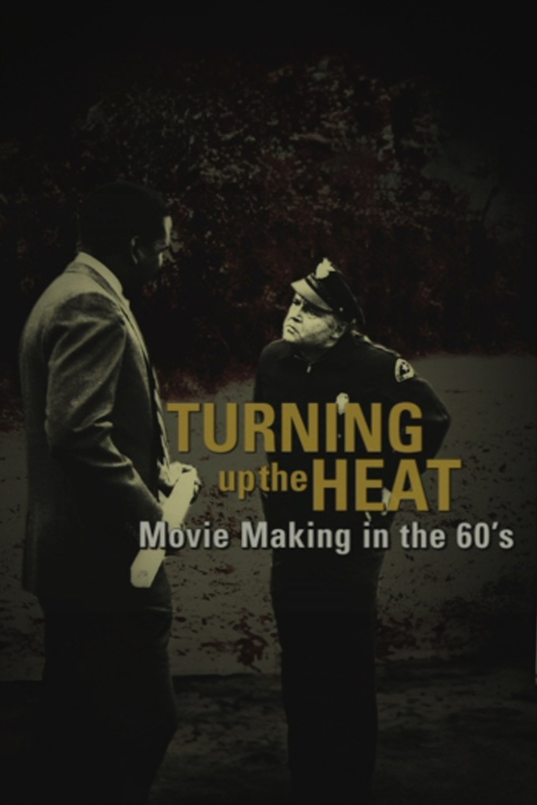 Poster de Turning Up the Heat: Movie Making in the 60's