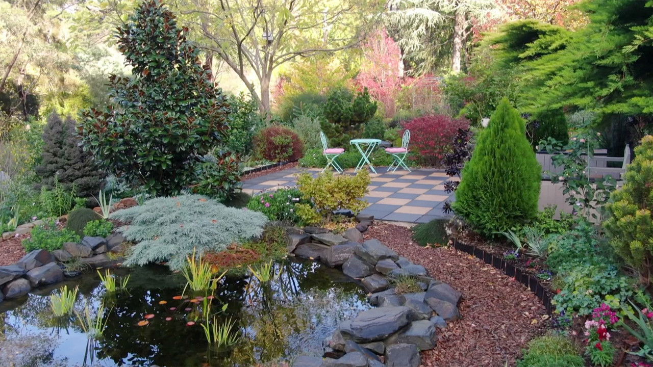 Episode 11 Resourceful Renters, Weeds in Pavers & Autumn Jobs