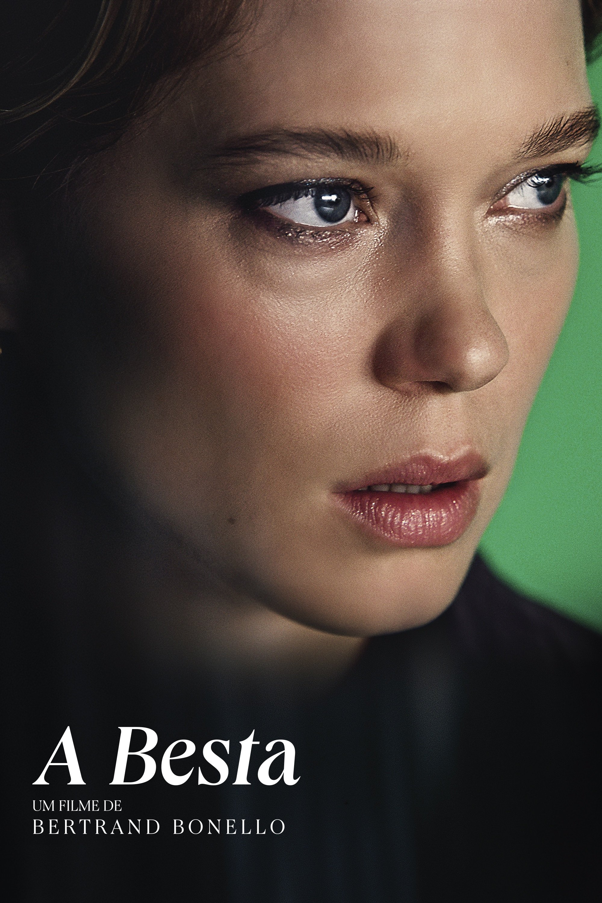 Poster de A Besta