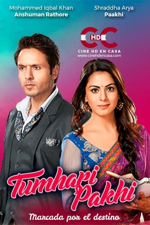Poster de Tumhari Pakhi