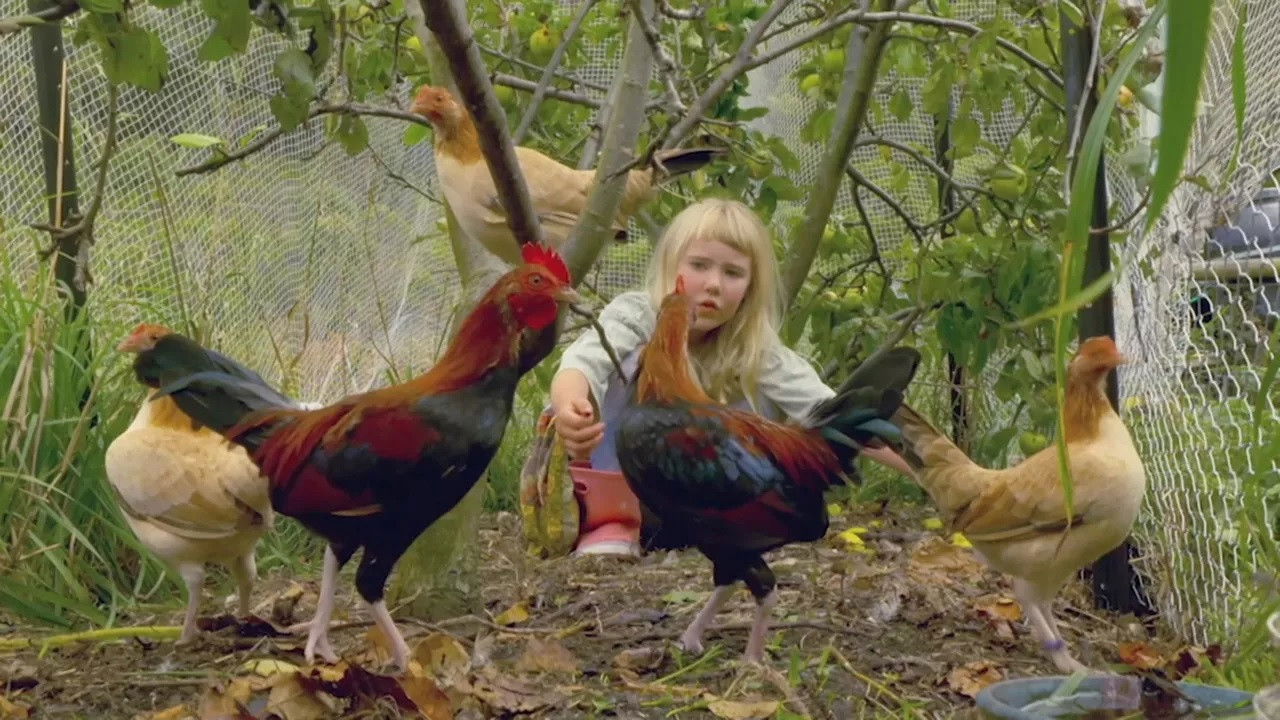 Episode 4 Winter Planting, Native Plants, Papaya & Seeds