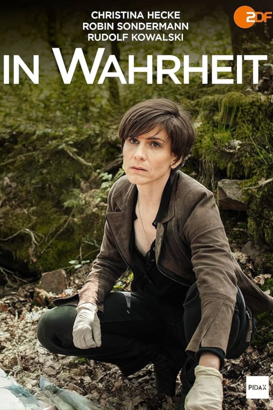 Poster de In Wahrheit