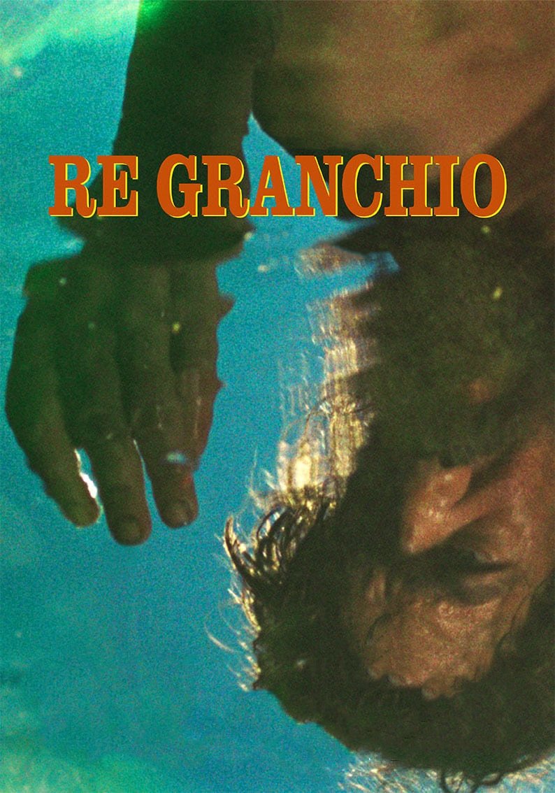 Poster de Re Granchio
