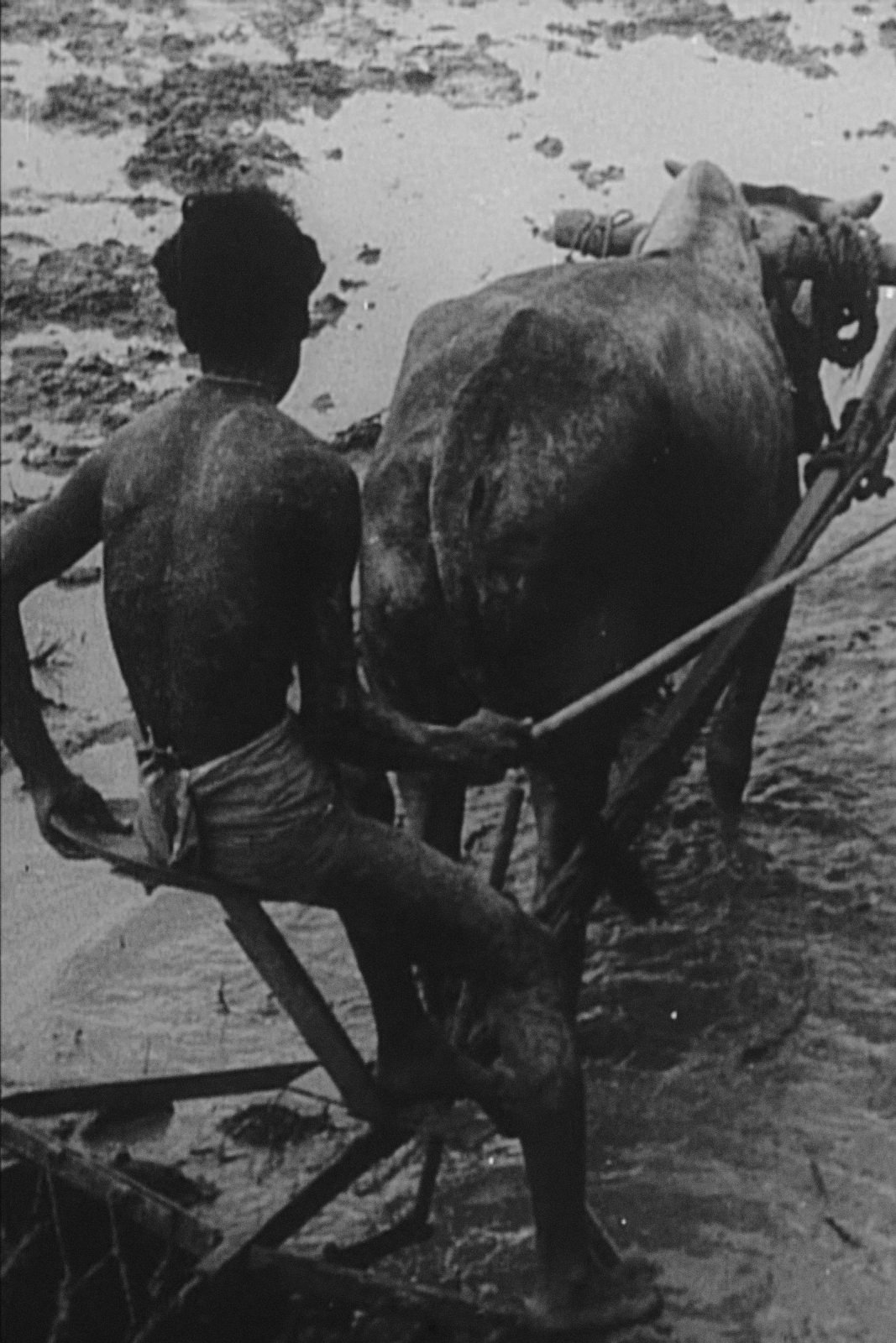 Poster de We Have Promises to Keep