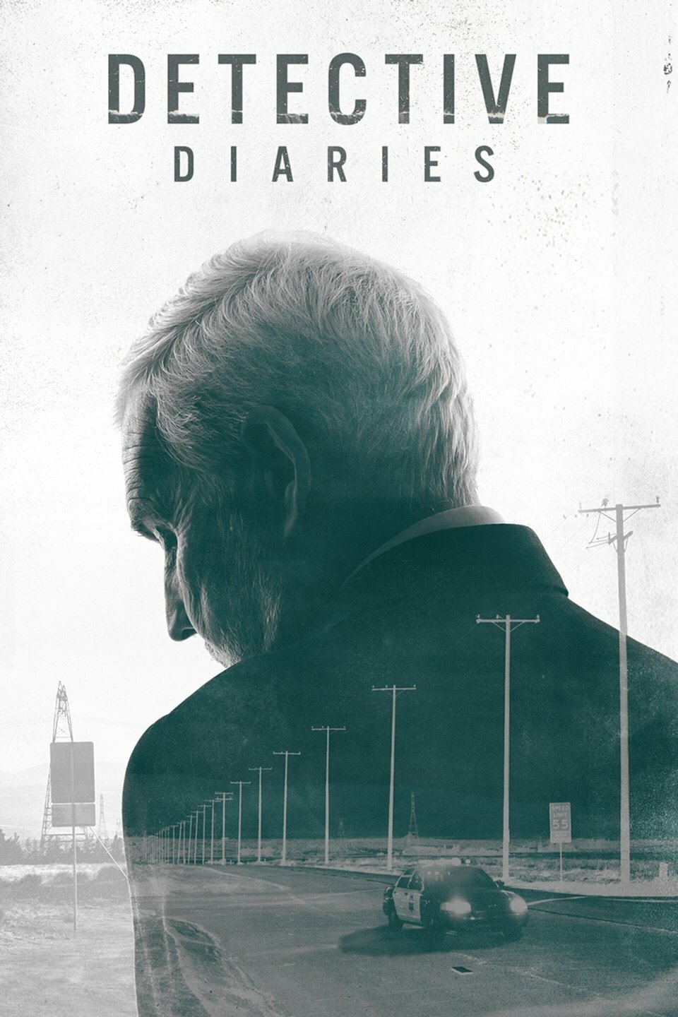 Poster de Detective Diaries