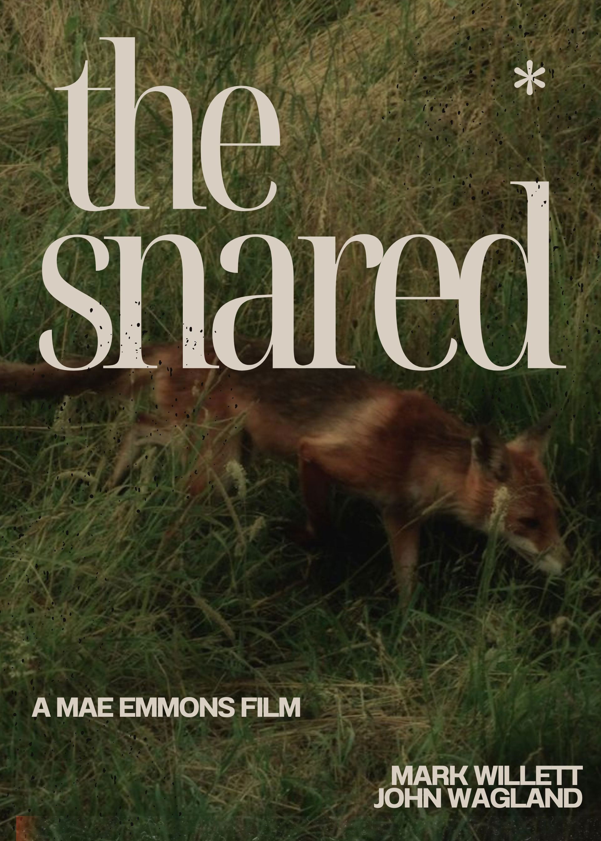 The Snared