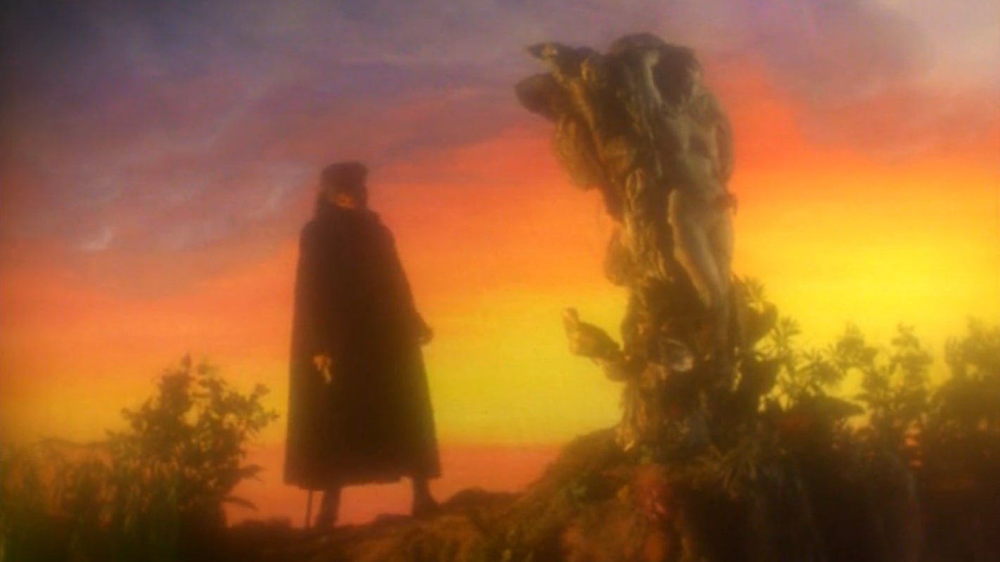 backdrops