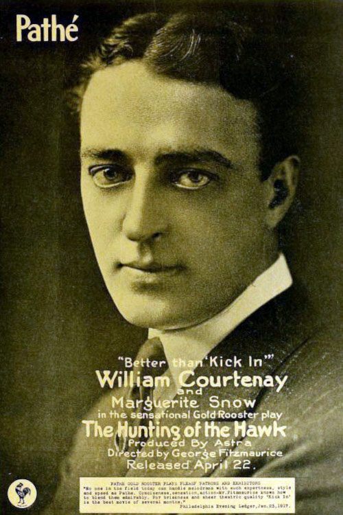 Poster de The Hunting of the Hawk