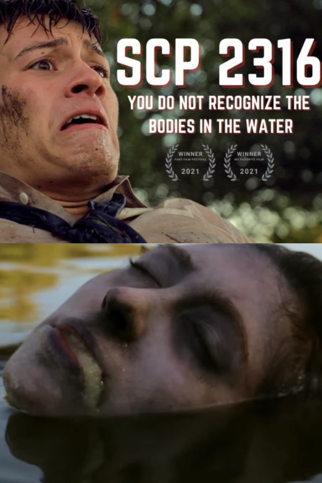 Poster de YOU DO NOT RECOGNIZE THE BODIES IN THE WATER