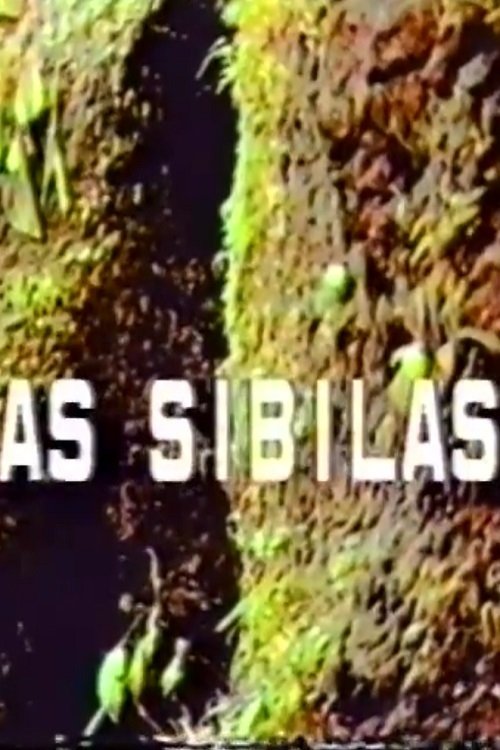 Poster de As Sibilas