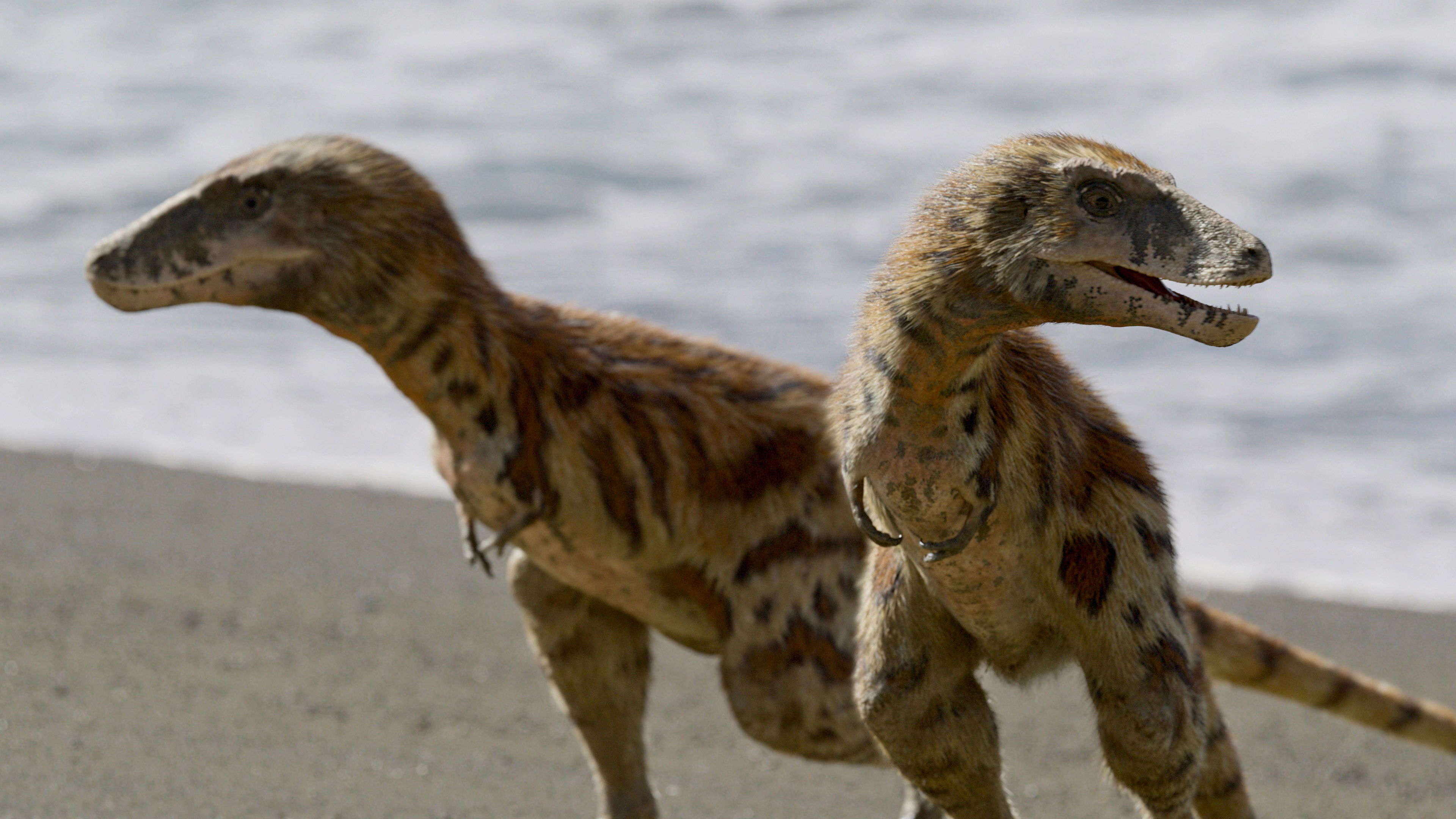 Uncovered: Could T. Rex Really Swim?