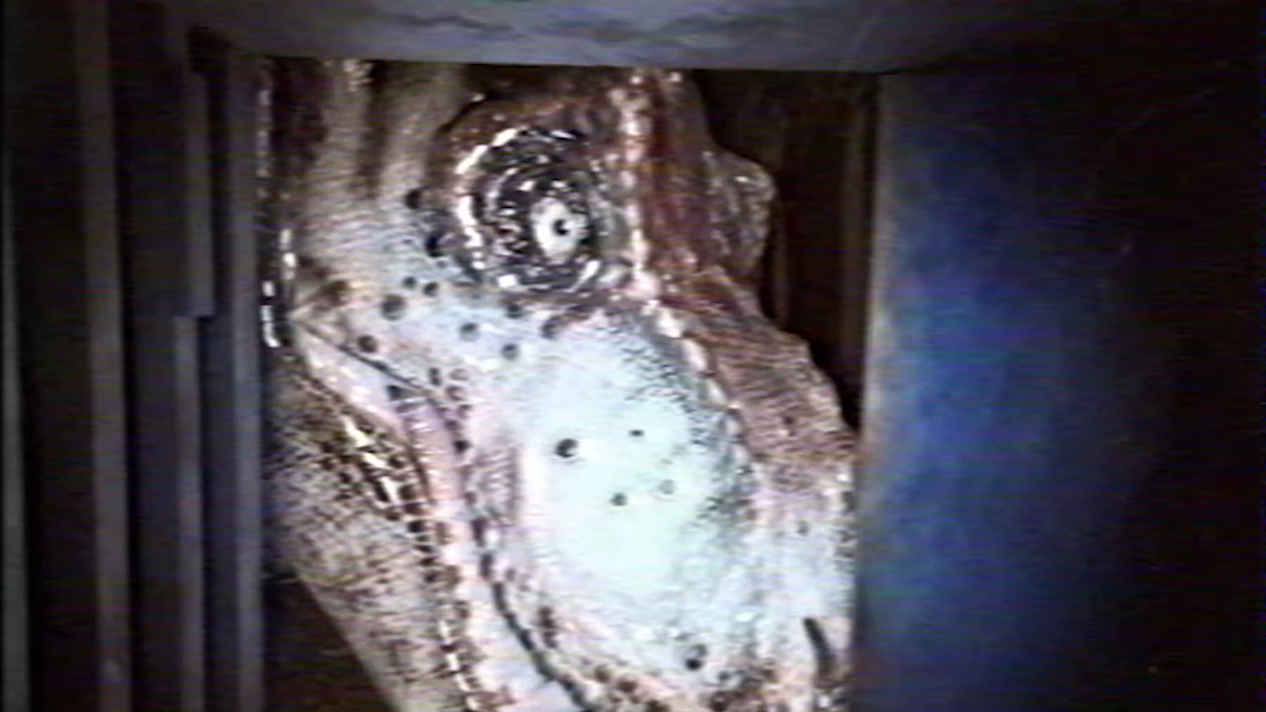 Jurassic Park - Found Footage: Outpost B