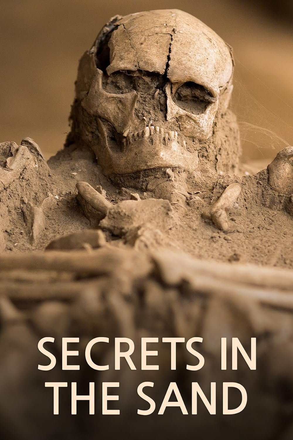Poster de Secrets in the Sand