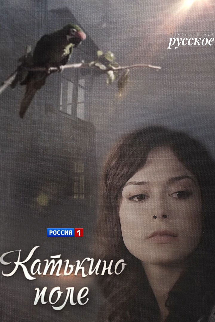 Poster de Катькино поле