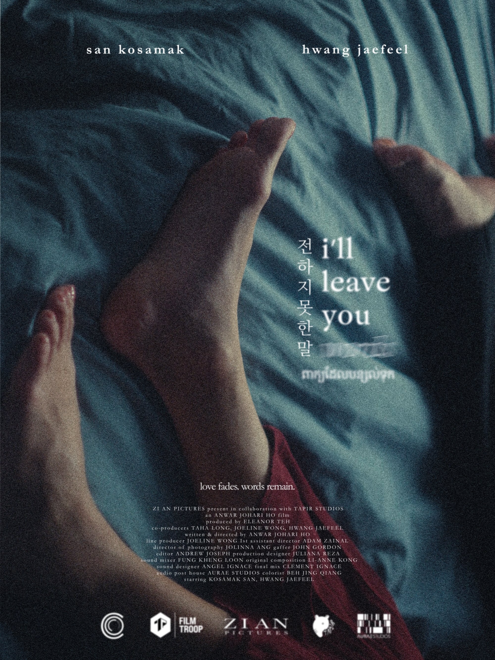 Poster de I'll Leave You Words