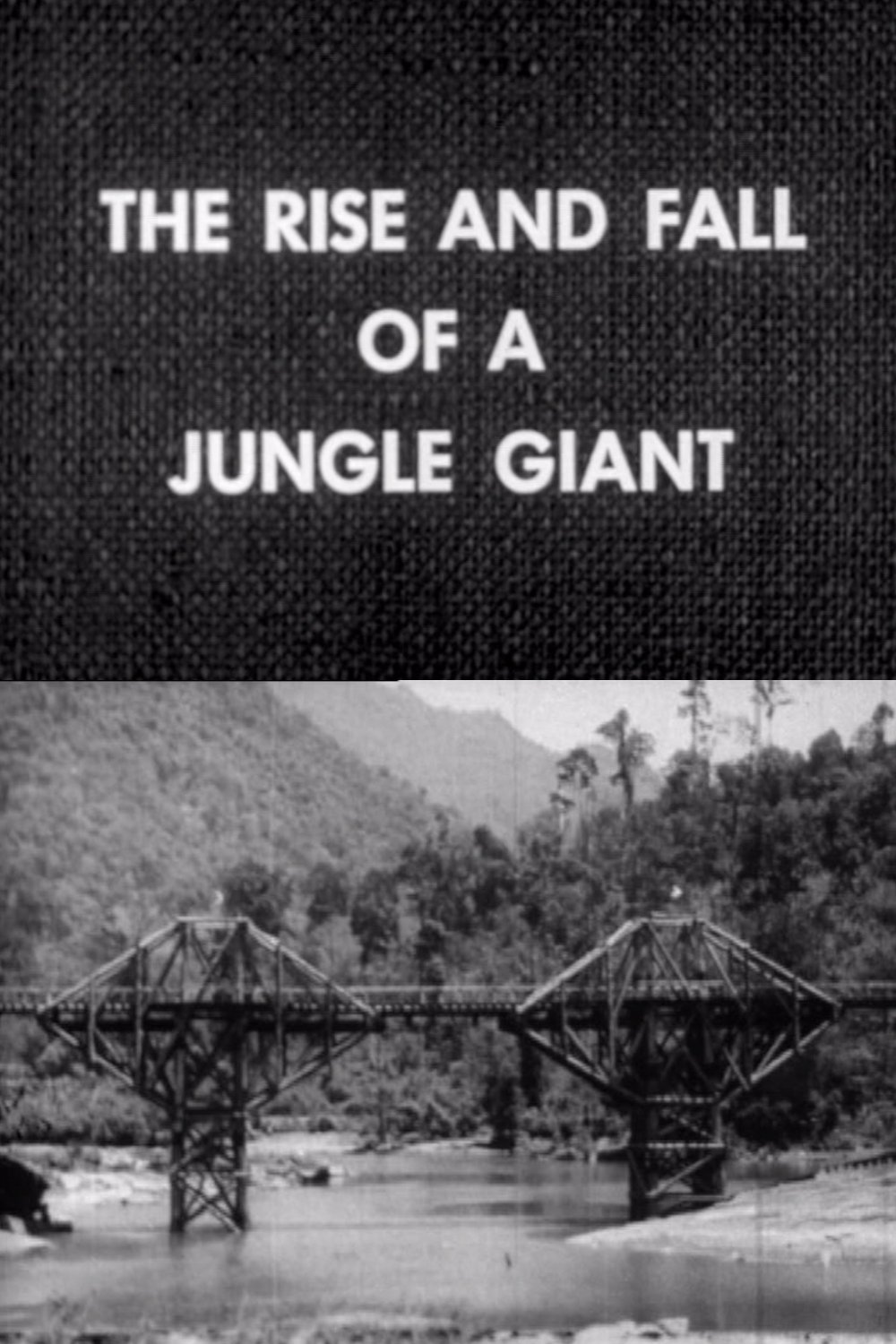 Affiche du film The Rise and Fall of a Jungle Giant