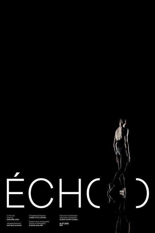 Poster de Écho