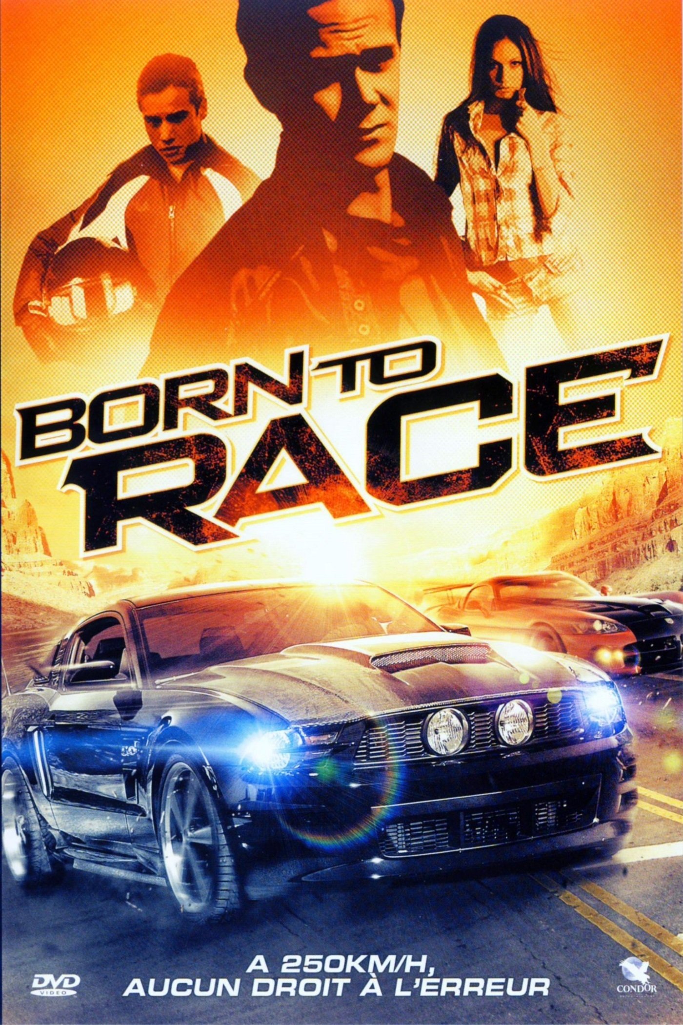 Affiche du film Born to Race