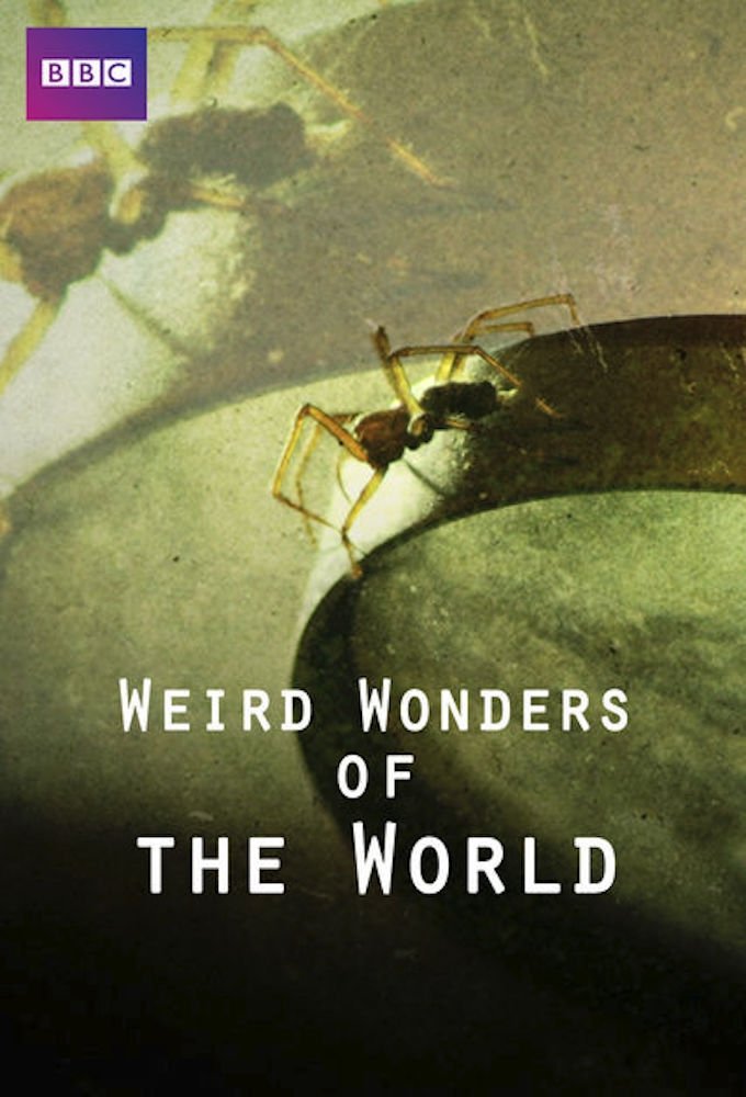 Poster de Weird Wonders of the World