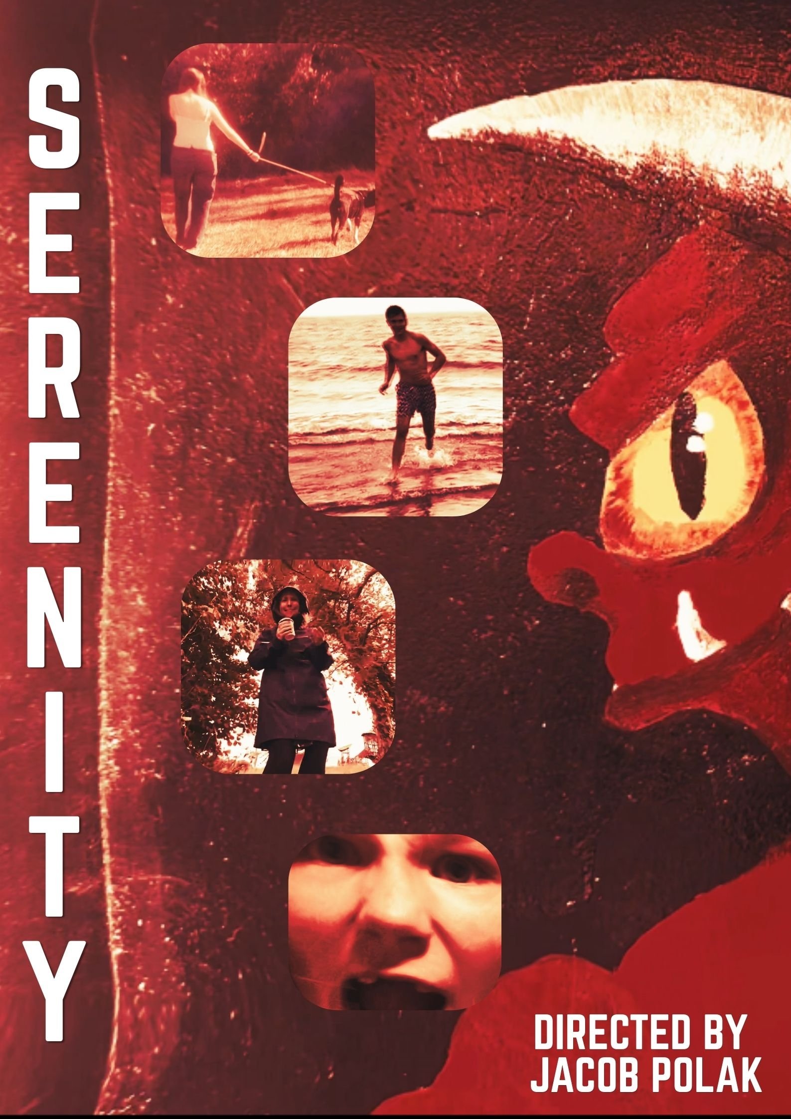 Poster de Presenting... Serenity