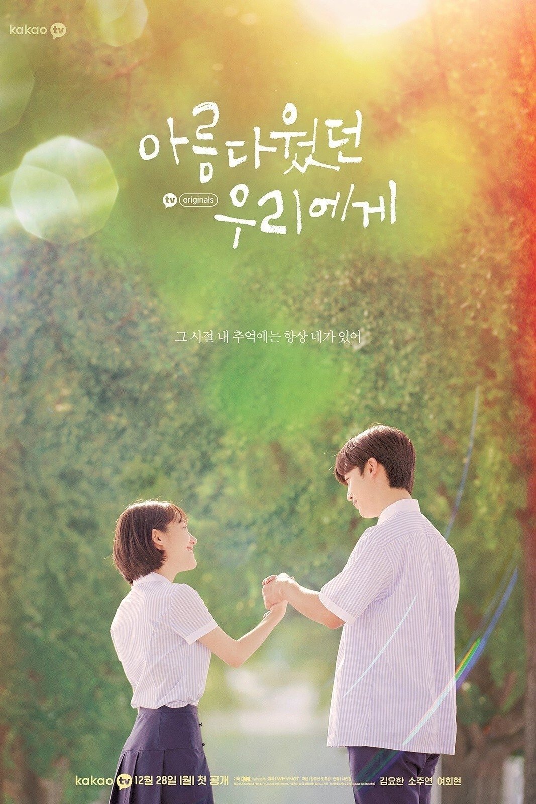 Poster de A Love So Beautiful