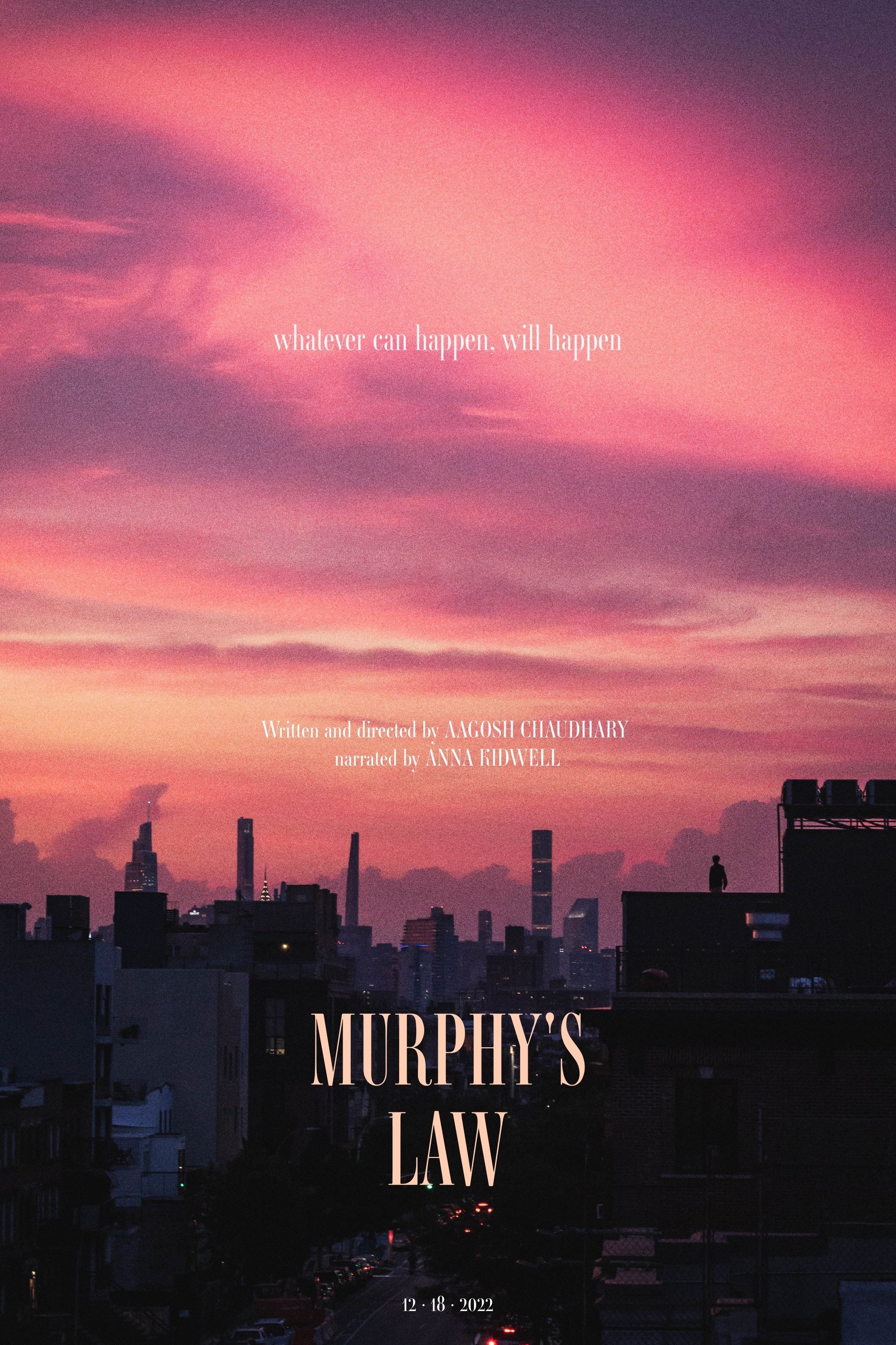 Poster for Murphy's Law