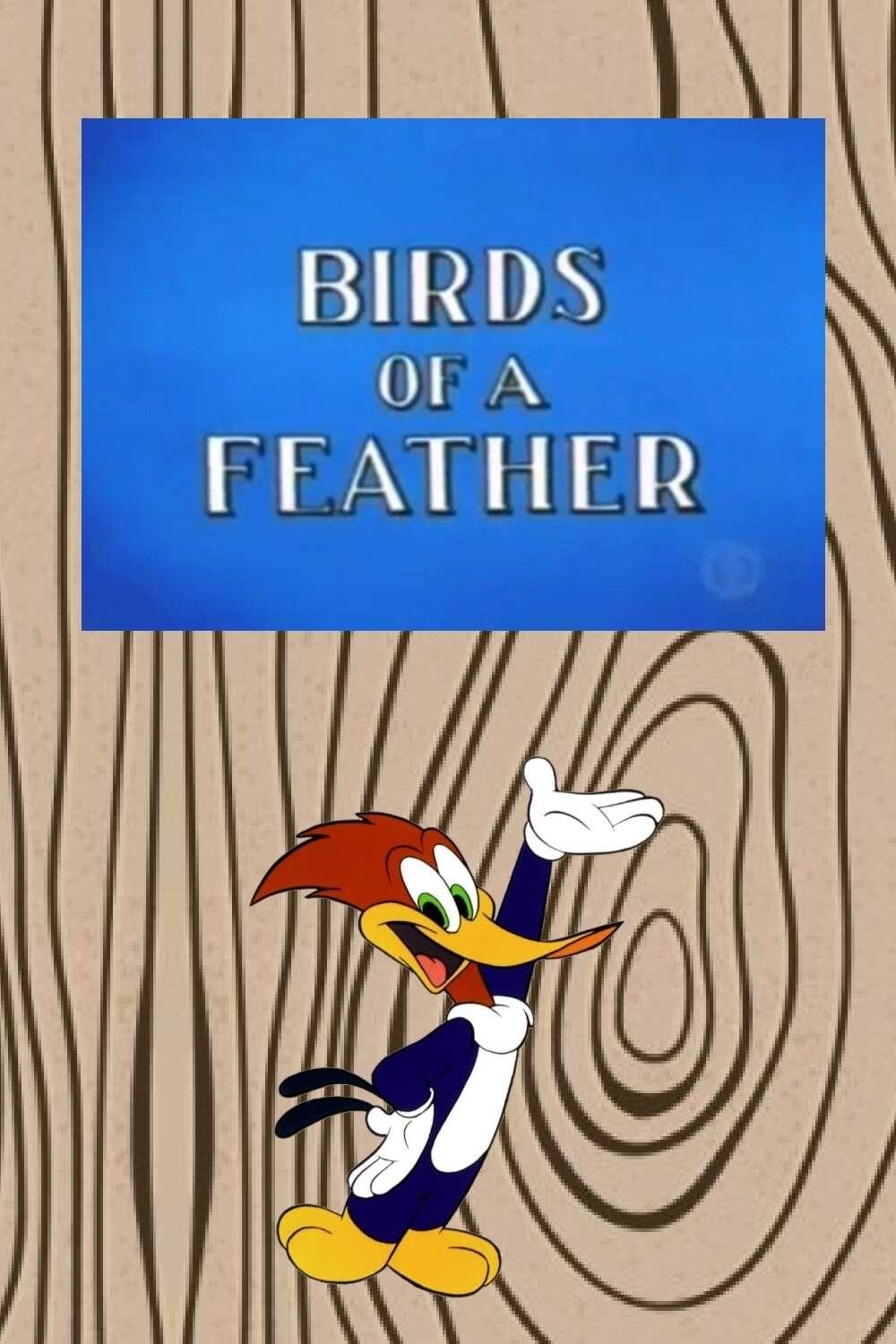 Poster de A Observadora de Pássaros