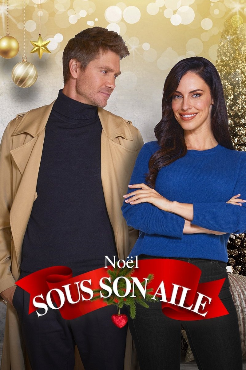 Affiche du film Angel Falls Christmas