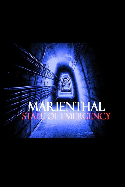 Poster de Marienthal: State of Emergency